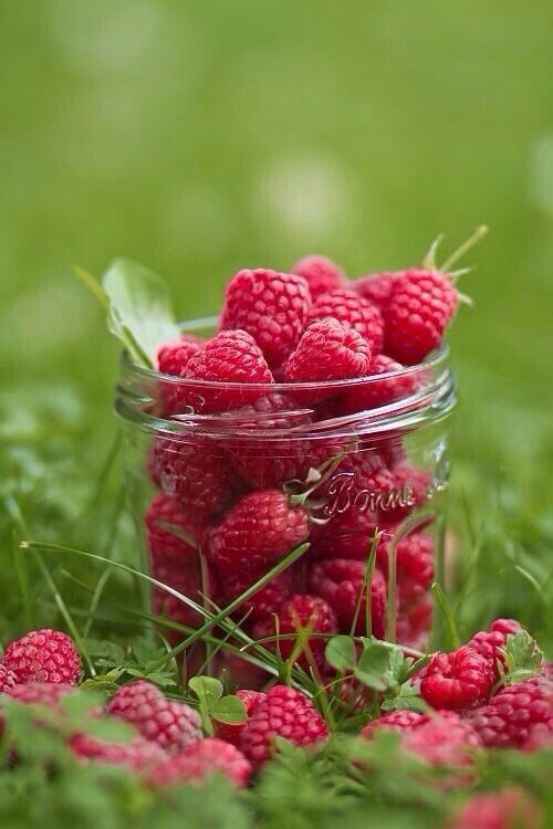 Raspberries